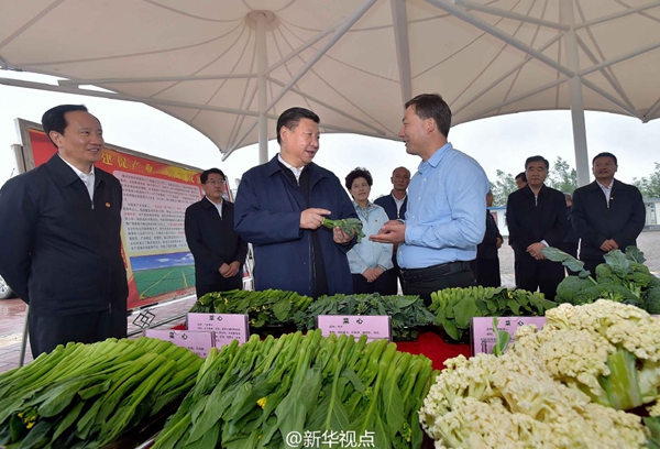 習(xí)近平：緬懷先烈、不忘初心，走好新的長(zhǎng)征路