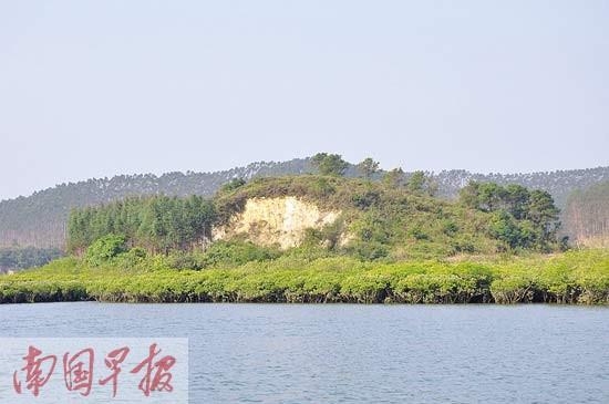 買座海島當(dāng)