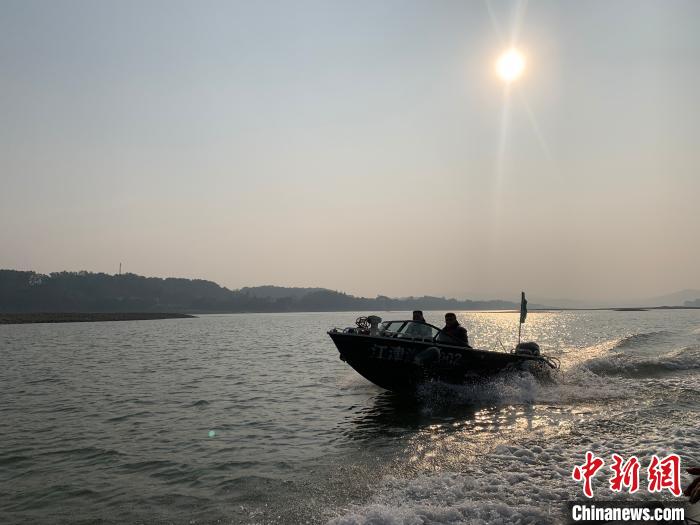 圖為日落時分,重慶江津區(qū)鴻鵠護漁志愿隊開展江上巡邏。 王婷婷 攝 圖為日落時分,重慶江津區(qū)鴻鵠護漁志愿隊開展江上巡邏。 王婷婷 攝