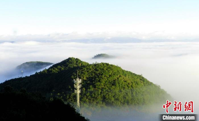 圖為無量山風(fēng)光。云南省林業(yè)和草原局提供 圖為無量山風(fēng)光。云南省林業(yè)和草原局提供