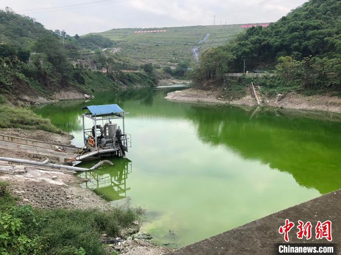 9月21日,中化涪陵化工生態(tài)環(huán)境修復(fù)基地的滲濾液收集池,深綠色是水體富營養(yǎng)化的表現(xiàn)?!±罴?攝 9月21日,中化涪陵化工生態(tài)環(huán)境修復(fù)基地的滲濾液收集池,深綠色是水體富營養(yǎng)化的表現(xiàn)。 李純 攝