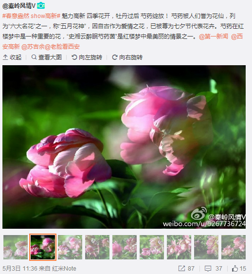 QQ截圖20160504100059.png