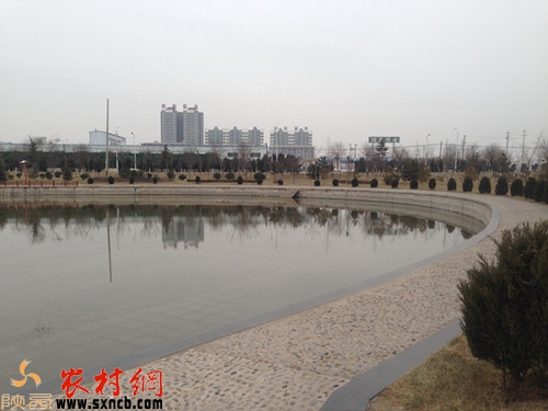 20141226090943356.jpg