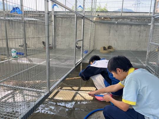 圖示, 示意圖&#10;&#10;中度可信度描述已自動生成:ver1