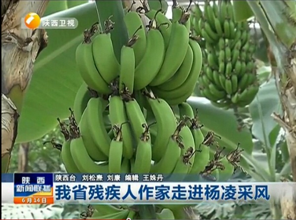 陜西5.jpg
