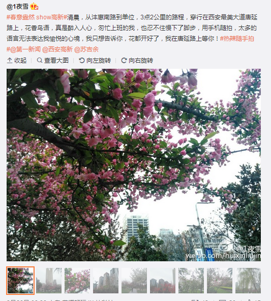 QQ截圖20160401094952.png