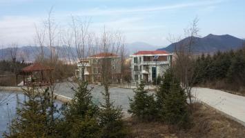 48101419475652078 (1).jpg