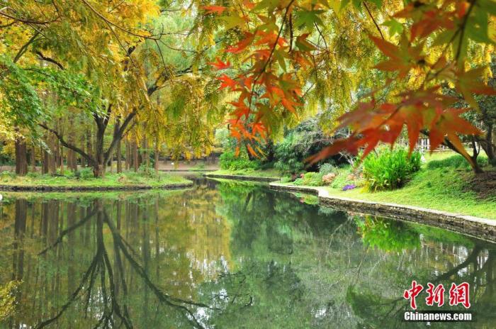 資料圖:上海市共青森林公園風(fēng)景如畫。<a target='_blank' href='/'>中新社</a>發(fā) 周東潮 攝 圖片來(lái)源:CNSPHOTO 點(diǎn)擊進(jìn)入下一頁(yè)