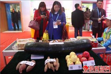 QQ截圖20161108231516.png