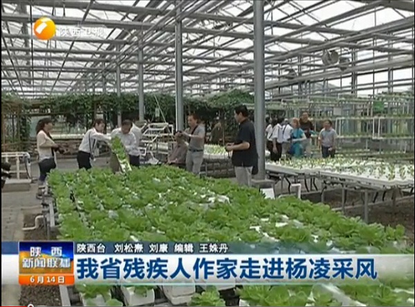 陜西6.jpg