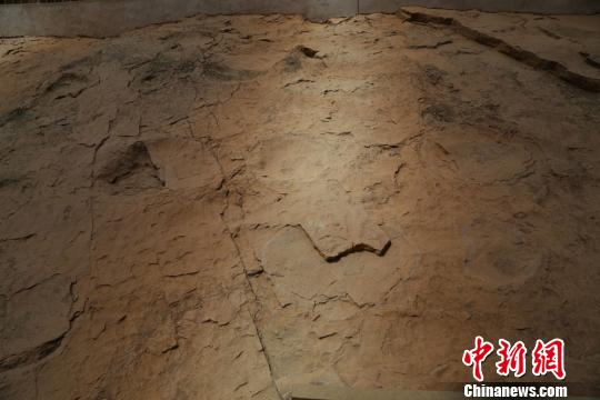 甘肅劉家峽恐龍足印地質(zhì)遺跡遭遇多重威脅(圖)