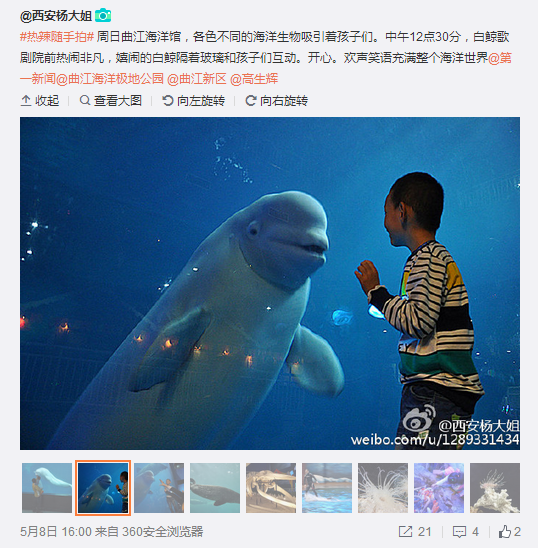 QQ截圖20160509103639.png