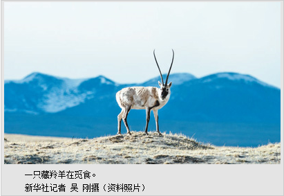 QQ截圖20170824102636.png