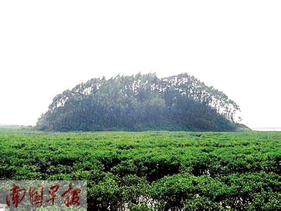 買座海島當(dāng)