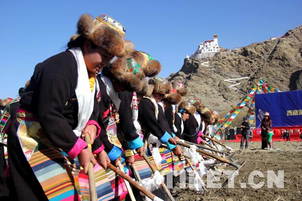 雍布拉康山腳下“鐵?!遍_(kāi)啟春耕“第一犁”