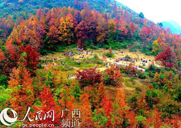 屏幕快照 2014-11-13 上午09.44.41.png