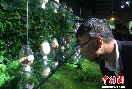 甘肅農(nóng)業(yè)大學(xué)70載輸送12萬(wàn)余人才助力農(nóng)業(yè)發(fā)展(圖)