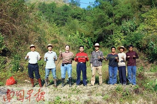 全國(guó)最大野生稻苗圃順利搬遷 保