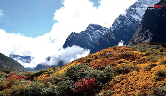 屏幕快照 2015-04-08 上午10.27.57.png