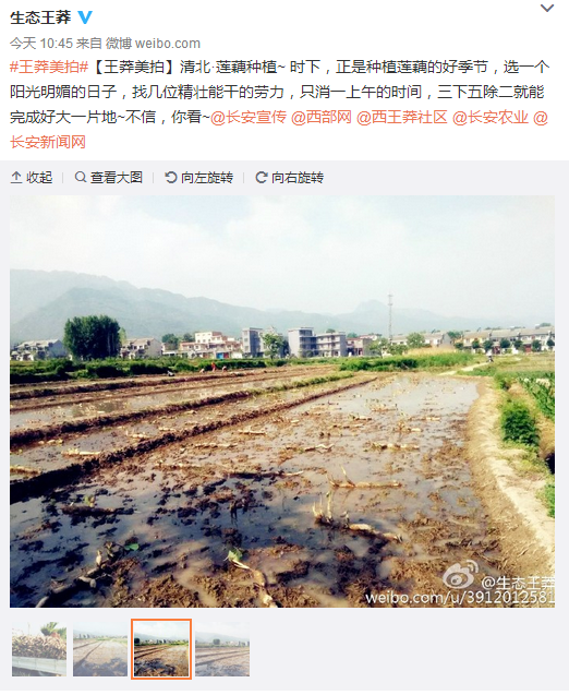 QQ截圖20160504144930.png