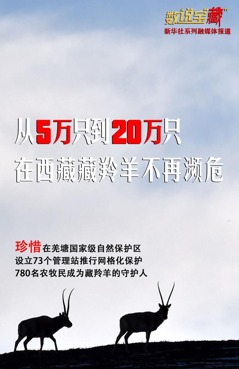 點(diǎn)擊進(jìn)入下一頁(yè) 點(diǎn)擊進(jìn)入下一頁(yè)