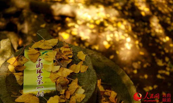 屏幕快照 2014-11-19 上午09.31.32.png