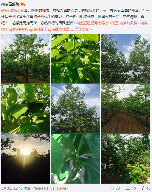 QQ截圖20160504141912.png