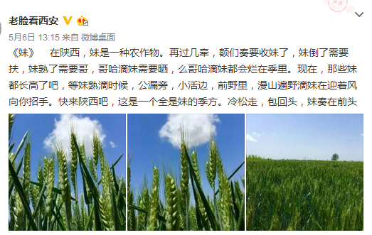QQ截圖20160509162634.png