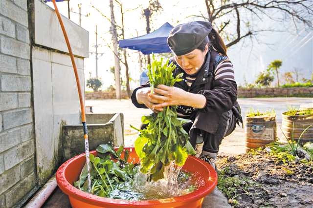 1月12日,巫山縣竹賢鄉(xiāng)下莊村,楊慈正在自家農(nóng)家樂里洗菜備餐。