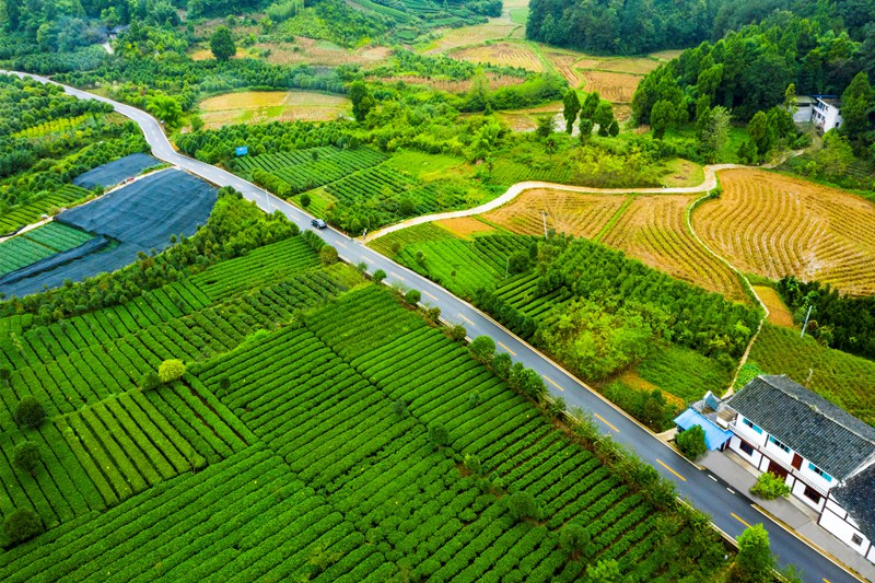 湄潭縣湄潭27°茶海路,榮獲2020年度全國“十大最美農(nóng)村路”。圖片由貴州省公路局提供 湄潭縣湄潭27°茶海路,榮獲2020年度全國“十大最美農(nóng)村路”。圖片由貴州省公路局提供
